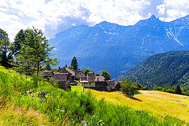 Idyllic alpine village on a green slope with an mountainous background, Varzo, the Valley of Ossola, Piedmont, Italy, Europe