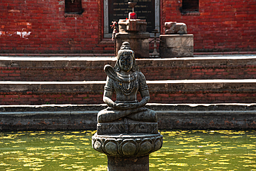 Statue of Shiva in the green waters, Tekha Pukhu (Tekha Pokhari) water basin with traditional brick work architecture of Bhaktapur, Nepal, Asia