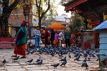 Devotees and prayers in front of a Hindu temple with religious people and pigeons, Kathmandu, Nepal, Asia