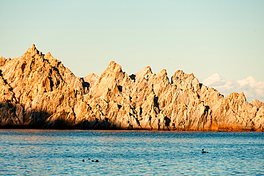 Close up of the white cliffs of Jodogahama rock formation, Miyako Bay, the sea of northern Honshu, Iwate prefecture, Japan, Asia