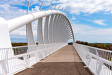 Unique architecture of Te Rewa Rewa Bridge in New Plymouth, North Island, New Zealand, Pacific