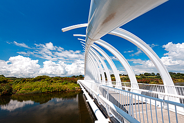 Unique architecture of Te Rewa Rewa Bridge in New Plymouth, North Island, New Zealand, Pacific