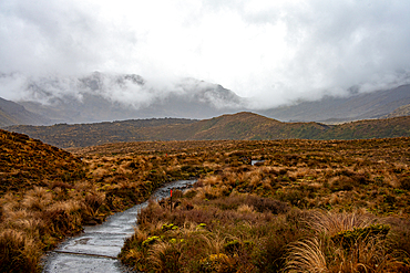 View along the hiking trail of Tongariro Alpine Crossing, going through brown scrub fields, North Island, New Zealand, Pacific