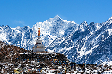 Golden Enlightenment Stupa in front of the snowy summit Gangchempo in Lang Tang Valley Trek, Nepal, Himalayas, Asia