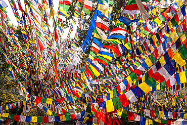 Frame covered in colorful Tibetan prayer flags, Buddhist prayer flags in the wind, Kathmandu, Nepal, Asia