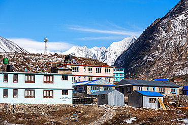 Colorful houses of Langtang valley, Himalayas, Nepal, Asia