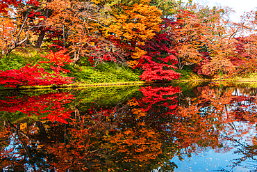 Colorful autumn foliage and leaves reflected in the clear waters of the moat of Hirosaki, Honshu, Japan, Asia