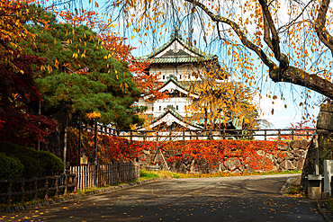 Colorful autumn foliage and leaves on path leading to Hirosaki Castle, Hirosaki, Honshu, Japan, Asia