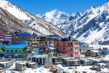 Colourful houses with blue rooftops in front of the icy summits of Gangchempo. Kyanjin Gompa, Langtang valley trek, Himalayas, Nepal, Asia