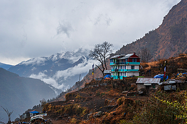 Glimpse of Sherpagaon's Charming Hospitality, rural village on Langtang Valley trek, Himalayas, Nepal, Asia