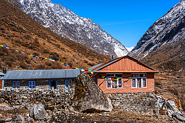 Colorful Tin Huts with snow-covered mountain peaks in the background on the Langtang Valley trek, Himalayas, Nepal, Asia