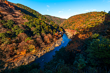 Autumnal forests in Arashiyama of Kyoto, Honshu, Japan, Asia