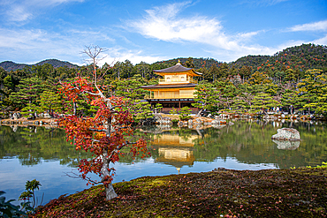 Golden Temple (Kinkaku-ji) (Temple of the Golden Pavilion), UNESCO World Heritage Site, Kyoto, Honshu, Japan, Asia