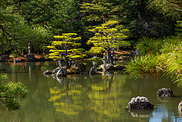 Japanese Zen garden lake Kinkaku-ji (Temple of the Golden Pavilion), UNESCO World Heritage Site, Kyoto, Honshu, Japan, Asia