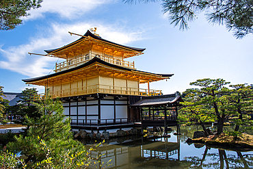 Golden Temple (Kinkaku-ji) reflected in the surrounding pond, UNESCO World Heritage Site, Kyoto, Honshu, Japan, Asia