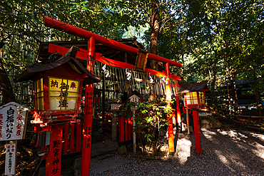 Red torii gate and lantern of beautiful Shinto shrine, Nonomiya Shrine, located in autumal forest in Arashiyama, Kyoto, Hoshu, Japan, Asia