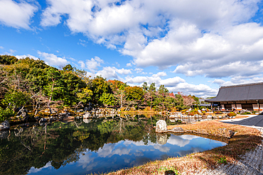 Sogenchi Teien lake, tranquil Zen garden of Tenryu-ji, UNESCO World Heritage Site, in Arashiyama, Kyoto, Honshu, Japan, Asia