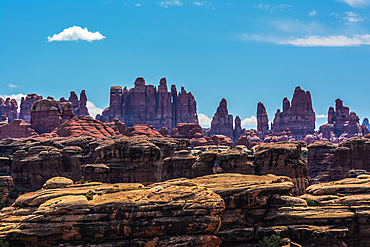 The Needles, incredible Canyon landscape, Canyonlands National Park, Utah, United States of America, North America