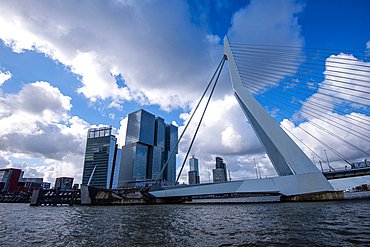 Erasmus Bridge and architecture of Kop van Zuid, Rotterdam, The Netherlands, Europe