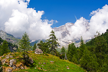 Alpine forest with towering mountains of the Alps at Monte Rosa, Alagna Valesia, North Italy