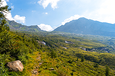 Meadows of alpine landscape. Peaceful hiking area in Northern Italy