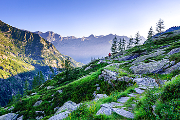 Beautiful idyllic hiking trail in the early morning sun light with a mountain chain in the background. Alps of northern Italy, Monte Rosa