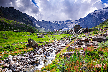 Monte Rosa, Dufourspitze in Italy Alps. Mountain creek, rocks and meadows