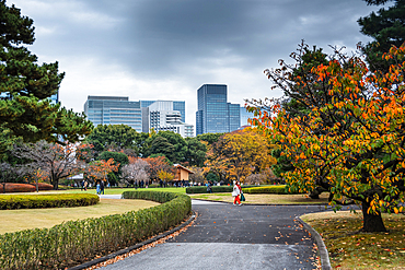 Autumnal leaves and skyscrapers of central Tokyo, Park of Edo Palace, Tokyo, Honshu, Japan, Asia