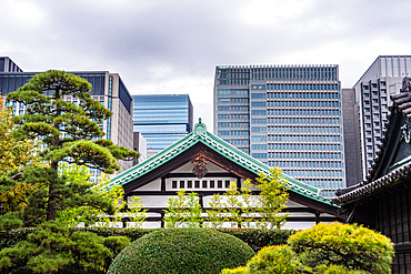 Autumnal leaves and kyscrapers of central Tokyo, with traditional temple roofs in front of modern buildings, Tokyo, Honshu, Japan, Asia