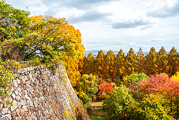 Osaka Castle moat walls and autumnal colors in the trees, Osaka, Honshu, Japan, Asia