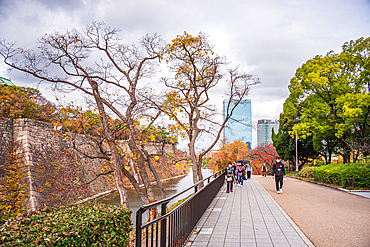 View along the Osaka Castle moat, Osaka, Honshu, Japan, Asia