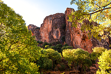 Lush trees and red rock cliffs at Los Cahorros Monachil, Sierra Nevada, Granada, Andalusia, Spain, Europe