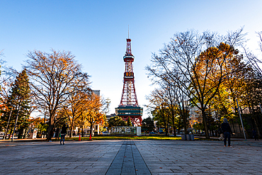 Sapporo Tower surrounded by autumn trees against a blue sky, Sapporo, Hokkaido, Japan, Asia