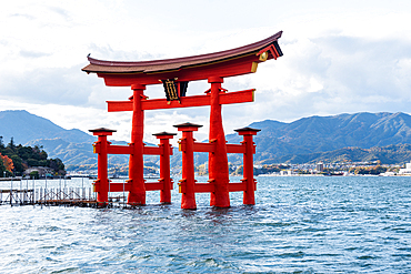 landmark otori gate in high tide sea. Torii Gate of miyajima. Hiroshima, Japan