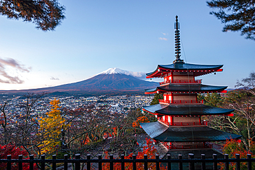 Sunrise at mount Fuji in Autumn. Fujiyoshida Chureito Pagoda Fall leaves iconic landmark Volcano of Japan