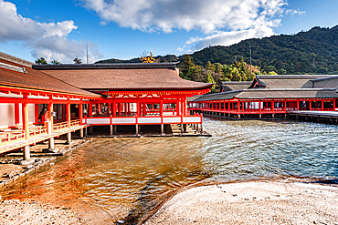 Itsukushima Shinto Shrine, UNESCO World Heritage Site, on Miyajima Island, Hiroshima Prefecture, Honshu, Japan, Asia