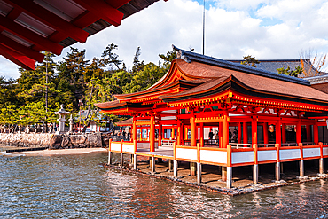 Itsukushima Shrine on Miyajima Island near Hiroshima. Japan Tempel shinto. Famous shrine with floating torii Otori