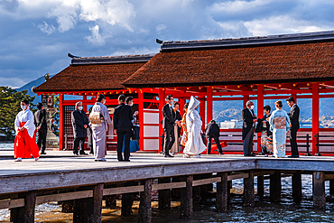 Traditional Japanese Marriage Ritual at Itsukushima Shinto Shrine on Miyajima Island, UNESCO World Heritage Site, Hiroshima Prefecture, Honshu, Japan, Asia