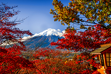 Mount Fujiyama (Mount Fuji), UNESCO World Heritage Site, iconic volcano in autumn, Honshu, Japan, Asia