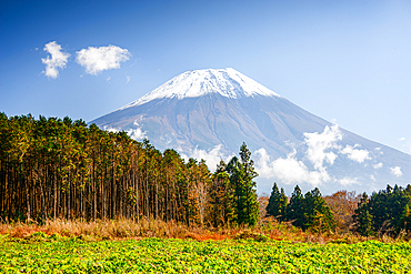 Mount Fujiyama (Mount Fuji), UNESCO World Heritage Site, iconic volcano in autumn, Honshu, Japan, Asia