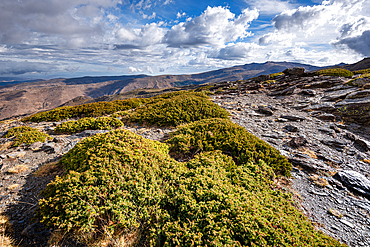 Landscapes of the Sierra Nevada with juniper scrubs, Spain Mountain chain