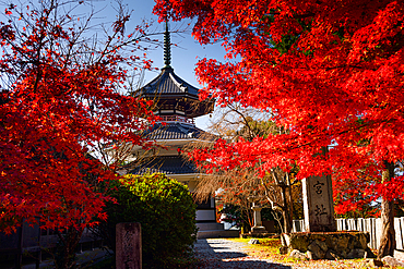 Kinpusenji Temple framed by Red Autumn leaves of maple trees in Japan. Yoshino Yama holy temple mountain near Nara