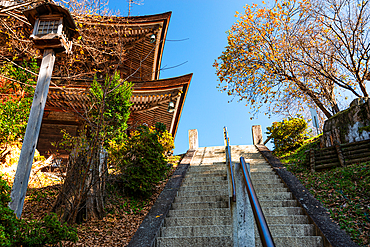 Stairs by a lantern leading up to a temples roof with autumnal leaves. yoshino yama, Japan