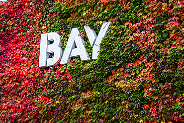 Hakodate Bay sign, Hakodate Historical Harbor Area, Hakodate, Hokkaido, Japan, Asia