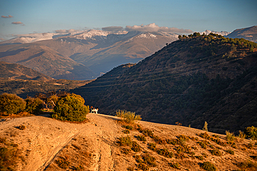 Sunset over the hills behind Granada and wide landscapes with the snowy Sierra Nevada behind, Granada, Andalusia, Spain