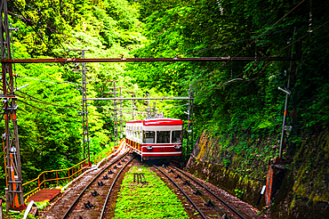 Red Tram cable car in lush green forest up the hill of Koyasan, Osaka, Honshu, Japan