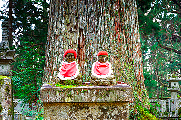 2 red hat Jizo Statues under an old tree trunk. Buddhist cemetery of Oku-no-in, Koyasan (Koya-san), Kansai, Japan, Asia