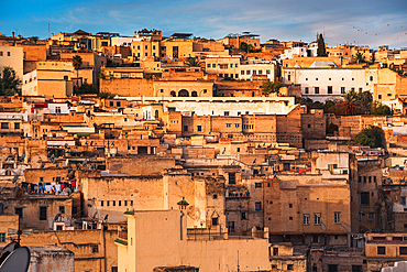 Close up of the Medina of Fes view from a rooftop. Looking of the warm yellow old town walls in sunrise light.