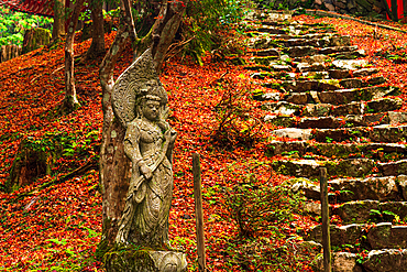 Mount Hiei, Hiei San. Beautiful Japanese stone statue at staircase covered in autumnal leaves. in an autumnal forest on the sacred mount Hiei. Konpon-nyoho-Tower of the Hieizan Enryaku-ji Temple Yokawa