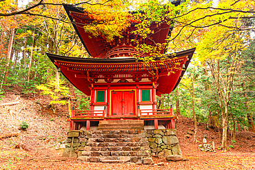 Mount Hiei, Hiei San, Nemoto Nyoho Pagoda. Beautiful Japanese Shinto Pagoda in an autumnal forest on the sacred mount Hiei. Konpon-nyoho-Tower of the Hieizan Enryaku-ji Temple Yokawa